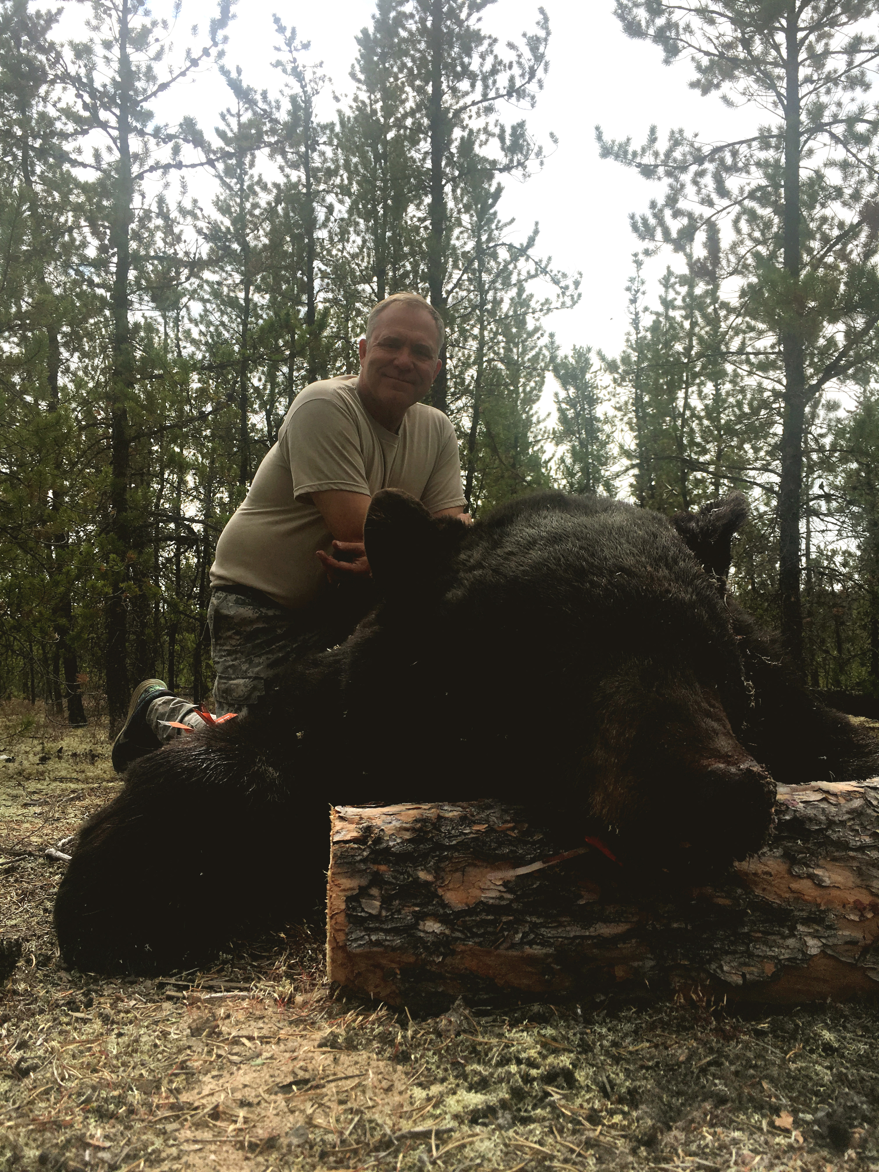 Affordable Saskatchewan Bear Hunts Photo U1