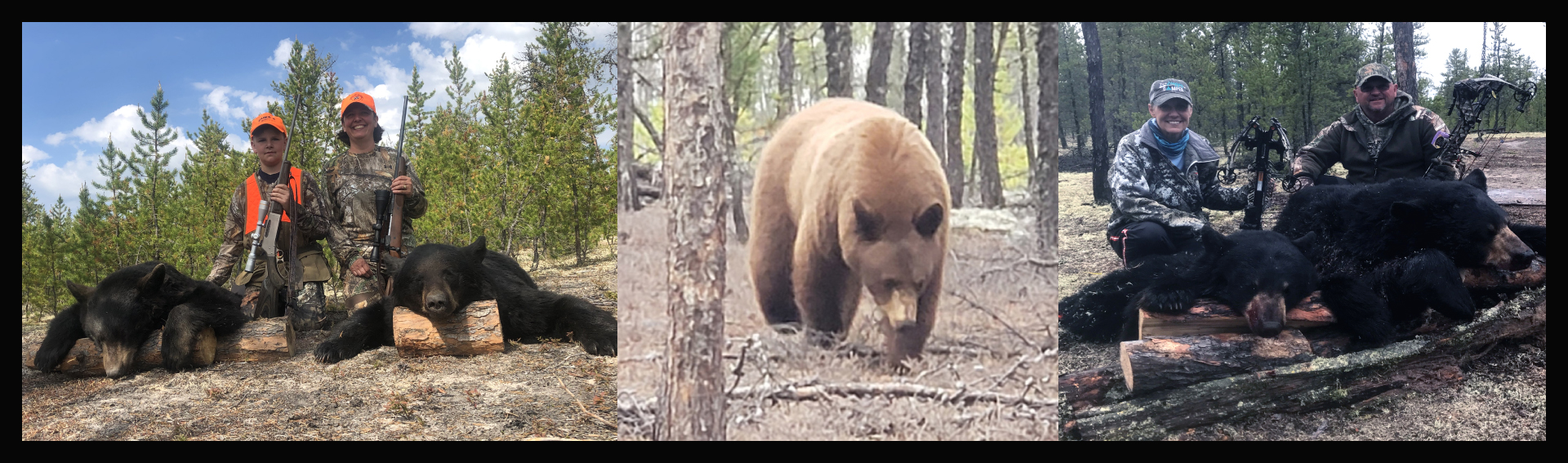 Saskatchewan Bear Hunting With Top Of The Rock Adventures